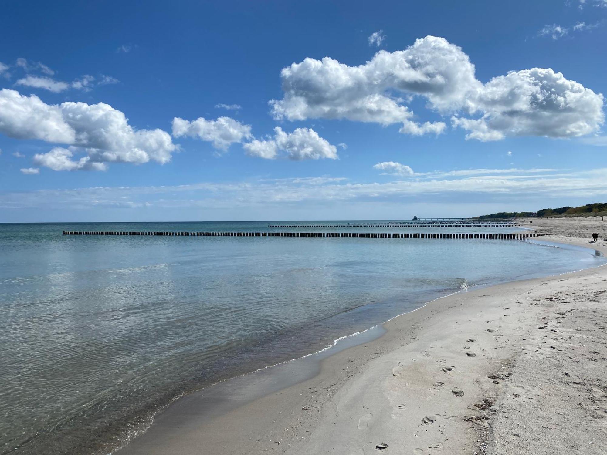 Schwalbennest Βίλα Zingst Εξωτερικό φωτογραφία