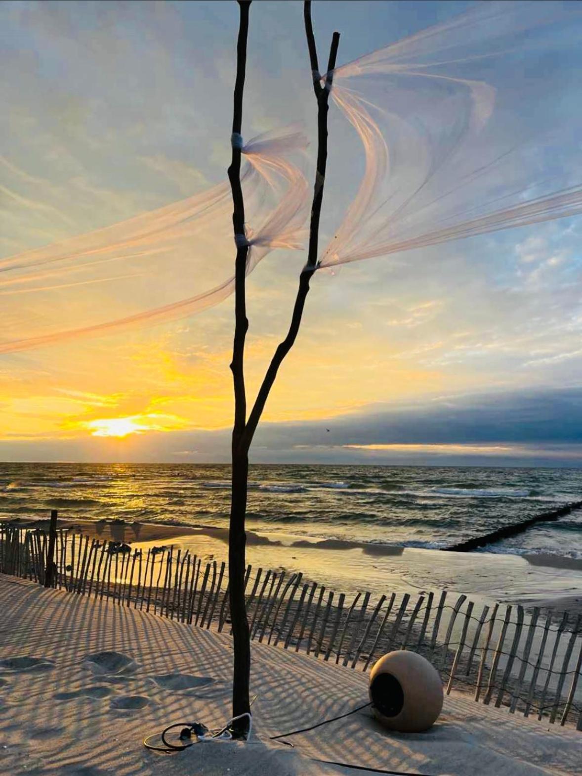 Schwalbennest Βίλα Zingst Εξωτερικό φωτογραφία